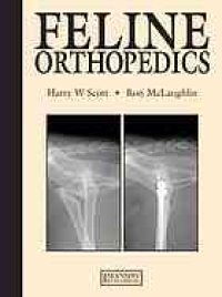 cover of the book Feline orthopedics