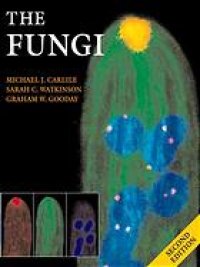 cover of the book The fungi