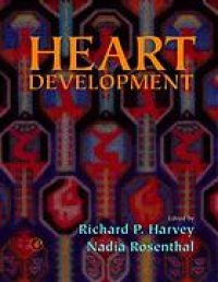 cover of the book Heart development