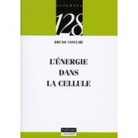 cover of the book L'énergie dans la cellule