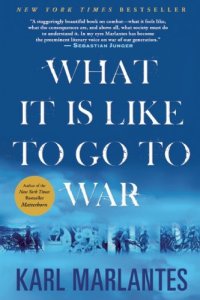 cover of the book What It Is Like To Go To War