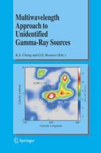 cover of the book Multiwavelength Approach to Unidentified Gamma-Ray Sources: A Second Workshop on the Nature of the High-Energy Unidentified Sources