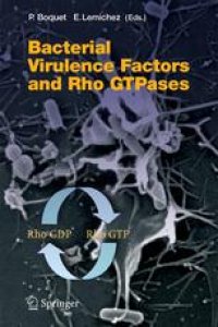 cover of the book Bacterial Virulence Factors and Rho GTPases