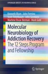 cover of the book Molecular Neurobiology of Addiction Recovery: The 12 Steps Program and Fellowship