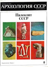 cover of the book Палеолит СССР