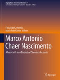 cover of the book Marco Antonio Chaer Nascimento: A Festschrift from Theoretical Chemistry Accounts