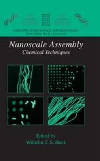 cover of the book Nanoscale Assembly: Chemical Techniques