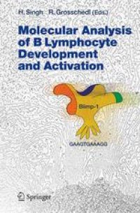 cover of the book Molecular Analysis of B Lymphocyte Development and Activation