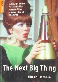 cover of the book The Next Big Thing: A Rough Guide to things that seemed like a good idea at the time