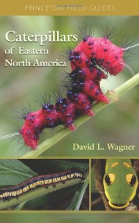 cover of the book Caterpillars of Eastern North America: A Guide to Identification and Natural History