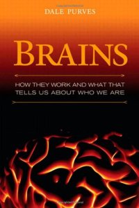 cover of the book Brains: How They Seem to Work