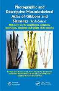 cover of the book Photographic and descriptive musculoskeletal atlas of gibbons and siamangs (Hylobates) : with notes on the attachments, variations, innervation, synonymy, and weight of the muscles