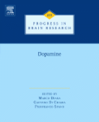 cover of the book Development, Dynamics and Pathiology of Neuronal Networks: from Molecules to Functional Circuits