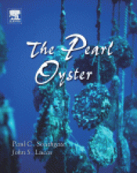 cover of the book The Pearl Oyster. A Beginner's Guide to Programming Images, Animation, and Interaction