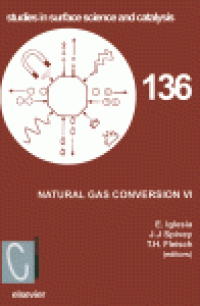 cover of the book Natural Gas Conversion VI