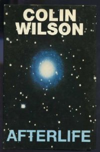 cover of the book Afterlife