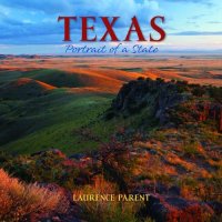 cover of the book Texas: Portrait of a State