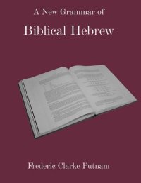 cover of the book A New Grammar of Biblical Hebrew