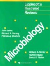 cover of the book Lippincott's Illustrated Reviews: Microbiology