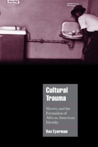 cover of the book Cultural Trauma: Slavery and the Formation of African American Identity