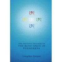 cover of the book The Precious Treasury of the Basic Space of Phenomena (Chöying Dzöd).