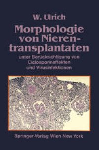 cover of the book Morphologie von Nierentransplantaten: unter Berücksichtigung von Ciclosporineffekten und Virusinfektionen