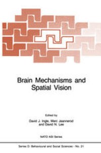 cover of the book Brain Mechanisms and Spatial Vision