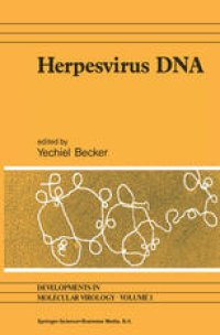 cover of the book Herpesvirus DNA: Recent studies on the organization of viral genomes, mRNA transcription, DNA replication, defective DNA, and viral DNA sequences in transformed cells and bacterial plasmids