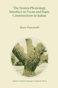 cover of the book The Syntax-Phonology Interface in Focus and Topic Constructions in Italian