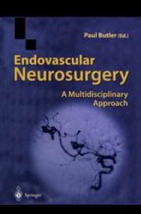 cover of the book Endovascular Neurosurgery: A Multidisciplinary Approach