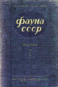 cover of the book Паукообразные. Фаланги (Solifuga)