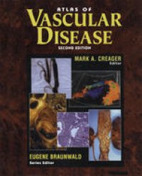 cover of the book Atlas of Vascular Disease