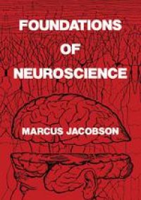cover of the book Foundations of Neuroscience