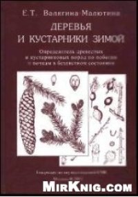 cover of the book Деревья и кустарники зимой: Определитель древес. и кустарниковых пород по побегам и почкам в безлист. состоянии