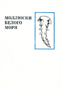 cover of the book Моллюски Белого моря