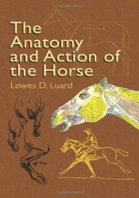 cover of the book The Anatomy and Action of the Horse