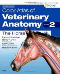 cover of the book Color Atlas of Veterinary Anatomy, Volume 2, The Horse, 2e