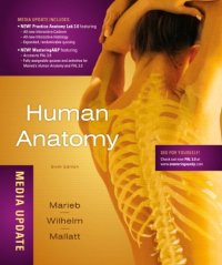 cover of the book Human Anatomy, Media Update