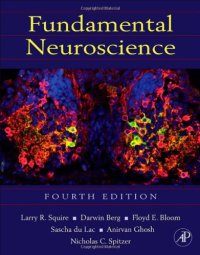 cover of the book Fundamental Neuroscience, Fourth Edition