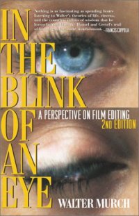 cover of the book In the Blink of an Eye Revised 2nd Edition