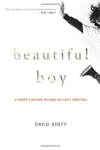 cover of the book Beautiful Boy: A Father's Journey Through His Son's Addiction