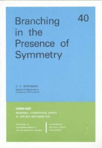 cover of the book Branching in the presence of symmetry