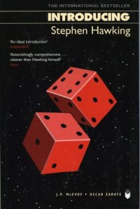 cover of the book Introducing Stephen Hawking