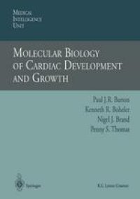 cover of the book Molecular Biology of Cardiac Development and Growth