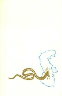 cover of the book Атлас беспозвоночных Каспийского моря