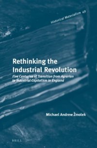 cover of the book Rethinking the Industrial Revolution: Five Centuries of Transition from Agrarian to Industrial Capitalism in England