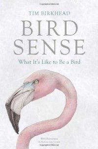 cover of the book Bird Sense: What It's Like to Be a Bird