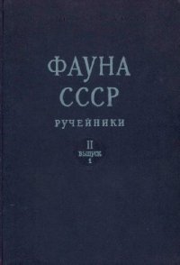 cover of the book Ручейники. Личинки и куколки подотряда кольчатощупиковых