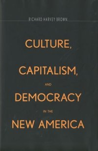 cover of the book Culture, Capitalism, and Democracy in the New America