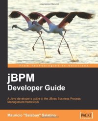 cover of the book jBPM Developer Guide